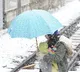 Blizzards, extreme cold disrupt transport across Japan