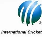 India visa delayed, not denied, clarifies US official after Pakistan-origin cricketer makes false claims