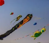 Telugu states celebrate Makar Sankranti with gaiety