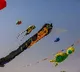 Telugu states celebrate Makar Sankranti with gaiety