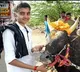 Yogadarshini The Jallikattu Princess Story