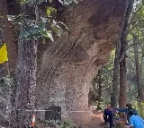 Odisha Caves Reveal Traces of Early Humans