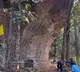 Odisha Caves Reveal Traces of Early Humans
