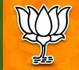 Vilasrao Deshmukh BJP faces setback in Maharashtra local elections