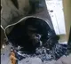 Washing Machine Explosion at Yusufguda House