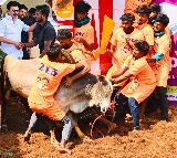 MK Stalin Announces Government Jobs for Jallikattu Heroes