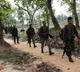 Security forces foil Maoists' plan, seize material used in making IEDs