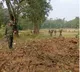 Youth killed after stepping on Maoist-planted IED in Chhattisgarh's Bijapur