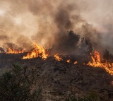 Emergency warning issued over South Australian grass fire