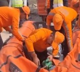 NDRF reaches site as UP govt removes Noida Authority CEO over techie’s death; Congress calls it ‘murder'