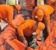 NDRF reaches site as UP govt removes Noida Authority CEO over techie’s death; Congress calls it ‘murder'