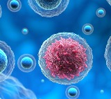 IIT Hyderabad Breakthrough in Melanoma Cancer Treatment