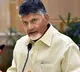 Chandrababu calls for natural farming at Davos