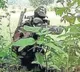 Jharkhand Naxal Encounter 10 Maoists Killed in Encounter