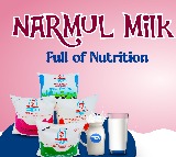 Mandadi Prabhakar Reddy Resigns as Narmul Mother Dairy Chairman