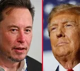 Elon Musk Takes Dig At Trumps New Gaza Board