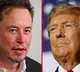 Elon Musk Takes Dig At Trumps New Gaza Board