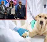 A key step forward in the pet care market Viash Scientific Limited Boehringer join hands