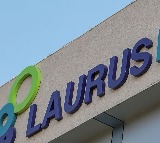 Laurus Labs Q3 Profit Soars to Rs 253 Crore