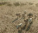 El Nino threat to India monsoon rainfall