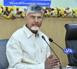 Chandrababu Naidu Directs TDP MPs on Central Budget Strategy