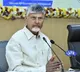 Chandrababu Naidu Directs TDP MPs on Central Budget Strategy