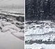 Manali Tourists Stranded Due to Heavy Snowfall in Himachal Pradesh