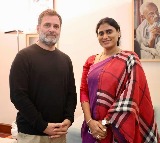 YS Sharmila invites Rahul Gandhi to Andhra Pradesh