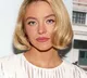Sydney Sweeney Hollywood Sign Stunt Controversy
