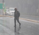 Delhi-NCR sees marginal relief in air quality after moderate rainfall