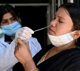 Nipah Virus Airport Screening Resumes After West Bengal Cases