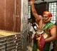 YSRCP demands CM Naidu’s apology after no animal fat found in Tirupati laddu