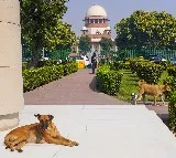 3-judge SC Bench reserves decision on issue of strays across country