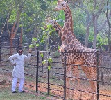 Pawan Kalyan Adopts Giraffes on Mothers Birthday