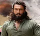 Dhurandhar single language film crosses Rs 1000 crore mark