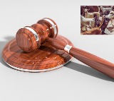 Supreme Court reserves verdict on street dog issue in India