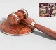 Supreme Court reserves verdict on street dog issue in India