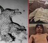 Gujarat Man Kills Leopard with Sickle And Spear To Save Son