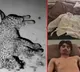 Gujarat Man Kills Leopard with Sickle And Spear To Save Son