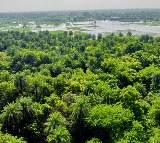 Delighted that Patna Bird Sanctuary, Chhari-Dhand are Ramsar Sites: PM Modi