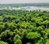 Delighted that Patna Bird Sanctuary, Chhari-Dhand are Ramsar Sites: PM Modi