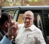 Sharad Pawar Unaware of Sunetra Pawars Alleged Oath as Deputy CM