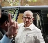 Sharad Pawar Unaware of Sunetra Pawars Alleged Oath as Deputy CM