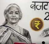 Giant 6-ft artwork of Nirmala Sitharaman created by UP artist for budget day