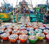Union Budget 2026: Strengthening fisheries, animal husbandry take centre stage in farm sector growth