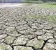 El Nino Threatens India with Drought Conditions This Year