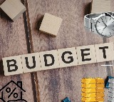 Nirmala Sitharaman Shortest Budget Speech Details