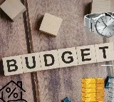 Nirmala Sitharaman Shortest Budget Speech Details