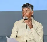 Chandrababu Naidu Praises Union Budget as Boon for AP Development