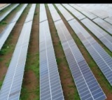 Indian scientists develop single-unit device to capture, save solar energy